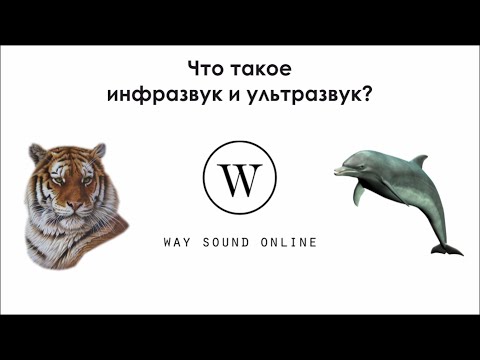 Видео: Что такое инфразвук и ультразвук? / Просто о сложном