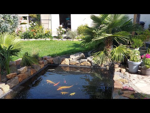 Видео: После долгой лёжки,вышла на воздух 🌞🙏