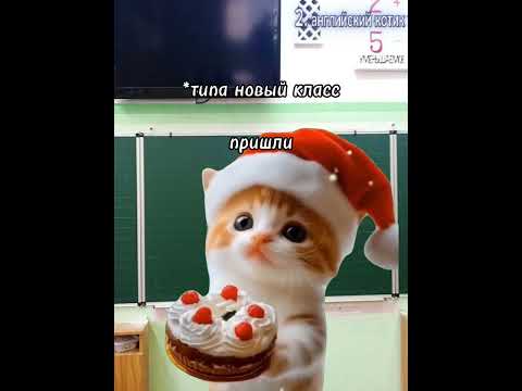Видео: Рил: моя пятница, футажи в тгк сахарка котика, и у меня)