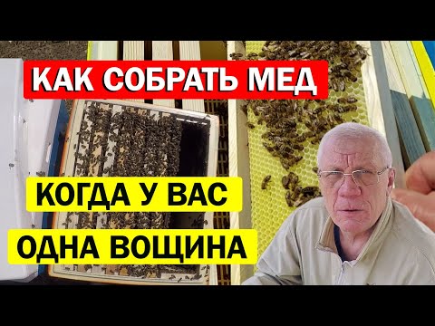 Видео: Как поднять пчел в магазинные надставки? Хитрость по пчеловодству, которая действительно РАБОТАЕТ.