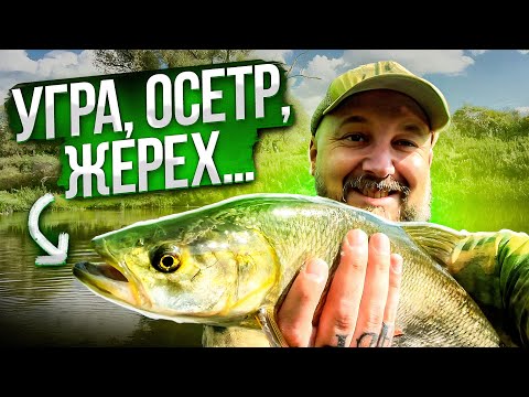 Видео: Рыбалка на реках Угра и Осетр. Жерех на «Атом»