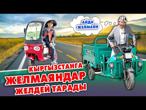 Видео: Желмаяндын ѳзгѳчѳ ЭЛЕКТРО МУРАВЕЙЛЕРИ элди ТАҢ калтырды ~ 2 тонна Жүк кѳтѳрѳт, ѳзү тѳгѳт экен