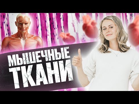 Видео: Мышечная ткань | Биология ЕГЭ