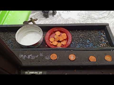 Видео: Весёлая среда в зоопарке.Карта на корм зверятам 2202 2062 6013 7323