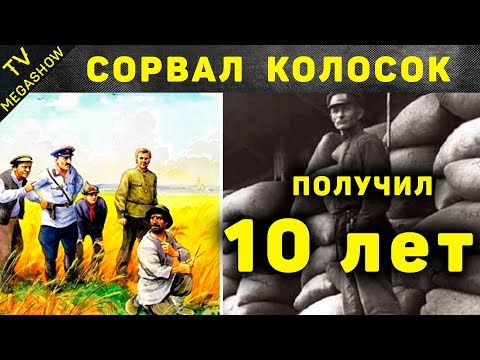 Видео: Самые абсурдные законы СССР, которые реально были