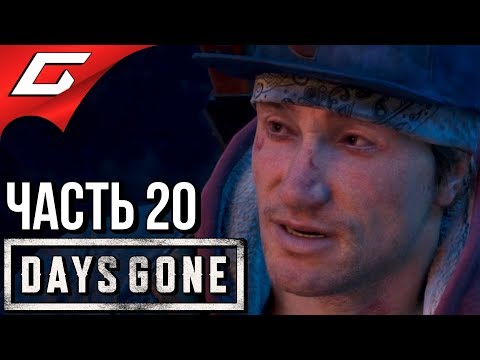 Видео: DAYS GONE (Жизнь После) ➤ Прохождение #20 ➤ СРЕДИ ДРУЗЕЙ