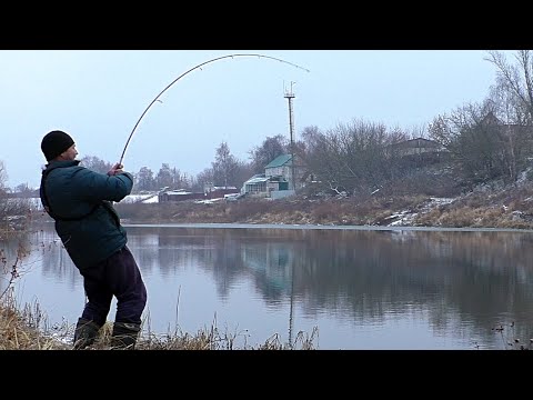 Видео: ЩУКИ на ЖИВЦА на ПОПЛАВОК ! ЖОР ЩУКИ перед ледоставом!