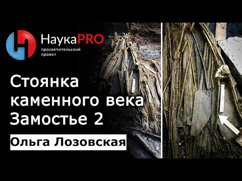 Видео: Стоянка каменного века Замостье 2 | Лекции по археологии – археолог Ольга Лозовская | Научпоп