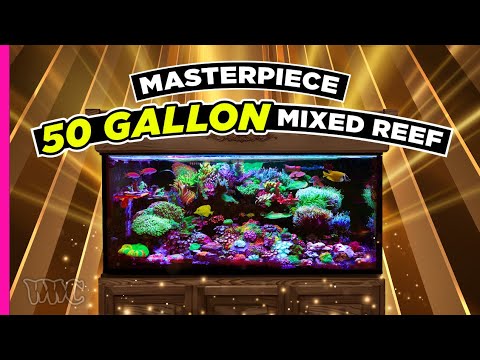 Видео: Вы не поверите этому Рефугиуму