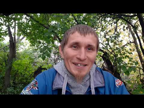 Видео: Каких животных завести для самообеспечения - основные критерии. 