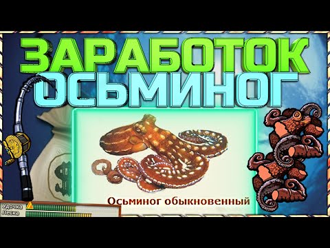 Видео: РР3 ТОП ЗАРАБОТОК НА ВОСТОЧНОМ КРИТЕ - ОСЬМИНОГ ОБЫКНОВЕННЫЙ!