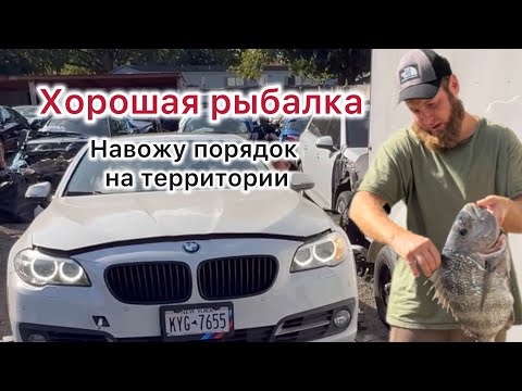 Видео: Океанский улов и порядок на территории                   #автобизнес #bmw #copart #авторазборсша 