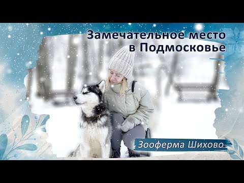 Видео: Замечательное и удивительное место в Подмосковье | Парк отдыха - Зооферма Шихово
