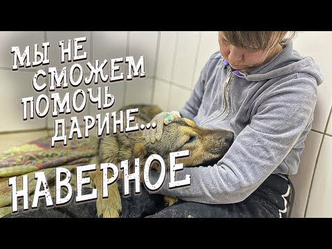 Видео: Спасение животных/ Ну почему страдают именно такие собачки