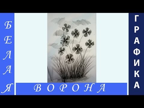 Видео: Как нарисовать полевые ЦВЕТЫ и ТРАВУ простым карандашом. Основы построения букета.
