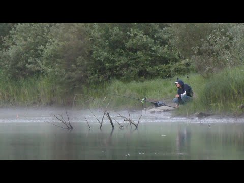 Видео: ОНИ ПРИШЛИ НОЧЬЮ... РЫБАЛКА НА ПОПЛАВОК