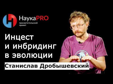 Видео: Инцест и инбридинг в эволюции | Лекции по антропологии – антрополог Станислав Дробышевский | Научпоп