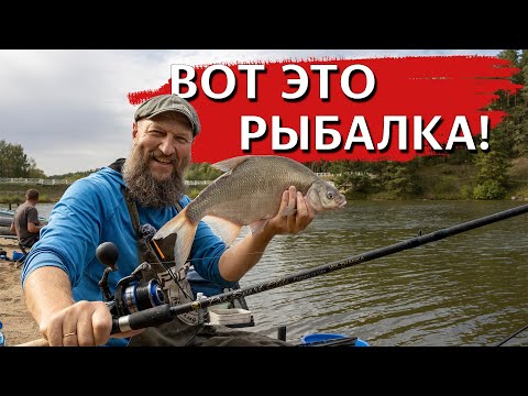 Видео: КАК ПОЙМАТЬ НА ФИДЕР ОСЕНЬЮ? В деревенской речке водятся МОНСТРЫ!