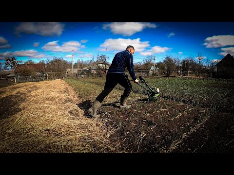 Видео: Взяв Мотокультиватор і Пішов обробляти Часник:Перші Роботи в полі 2024