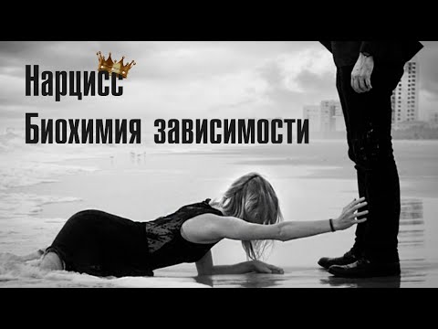 Видео: Нарцисс. Биохимия зависимости