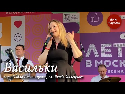 Видео: "Васильки". музыка Павла Аедоницкого, слова Якова Халецкого. Исполняет ретро-группа «Чародеи»