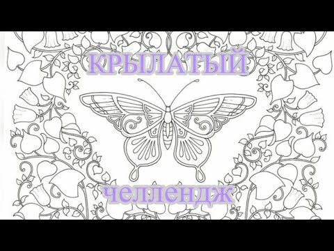 Видео: Крылатый челлендж совместное раскрашивание с подписчиками #челлендж #хобби #раскраска #лето #любовь