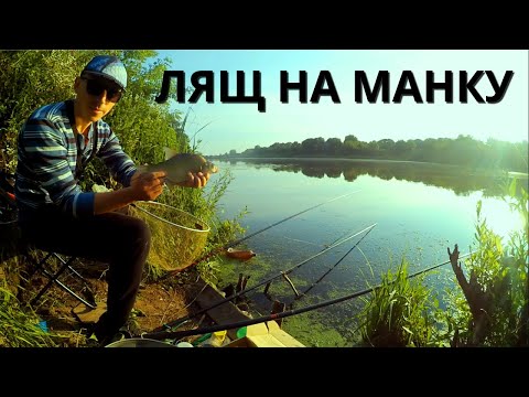 Видео: ЛЯЩ клює на МАНКУ! Риболовля на поплавок. оз. Басів Кут