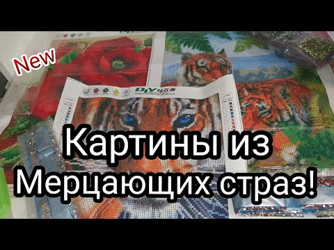 Видео: Алмазная вышивка полностью из мерцающих страз!! ШИКАРНО! Какую картину буду выкладывать я ?