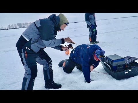 Видео: Бегаем за ОГРОМНОЙ КУЧЕЙ РЫБЫ. Зимняя рыбалка на судака с вибами