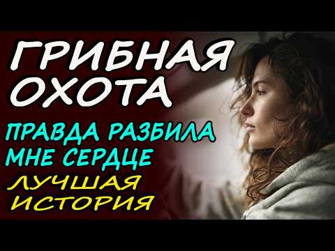 Видео: Грибная охота - лучшая история из жизни