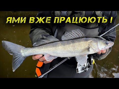 Видео: ✅Судак Йде НА ЯМИ! Час Гарних Глибин!✅