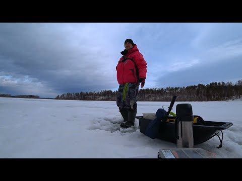 Видео: Чебаркульские монстры.Ловля весенней щуки.