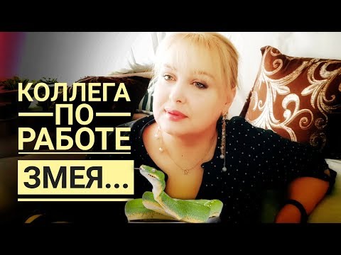 Видео: КОЛЛЕГА ПО РАБОТЕ та ещё ....  / конфликт на работе / Решение конфликтной ситуации в салоне красоты