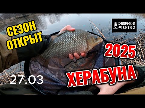 Видео: Херабуна. Открытие сезона 27.03.2025. Рыбалка с поплавком в заводе речки на китайское тесто.