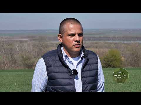 Видео: Растителна Защита 31 03 2025