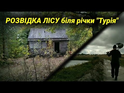 Видео: Коп 2019. Онлайн сигнали! Цікава знахідка "ЗАЖИГАЛКА"