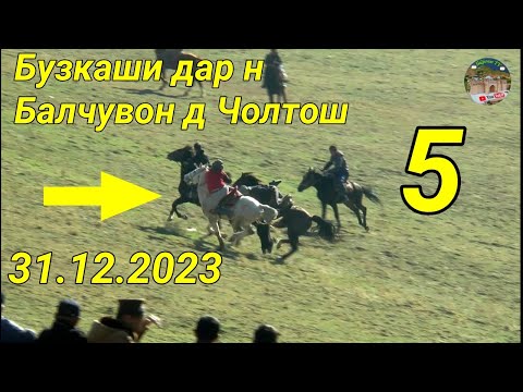 Видео: Бузкаши дар н Балчувон д Чолтош 31.12.2023 Кисми 5