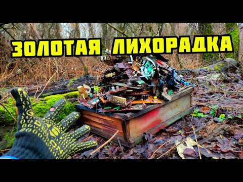 Видео: ЗОЛОТАЯ ЛИХОРАДКА. НАШЕЛ КЛАД РАДИОДЕТАЛЕЙ! ПОИСК МЕДИ И МЕТАЛЛОЛОМА НА СВАЛКЕ. КАК ЗАРАБОТАТЬ