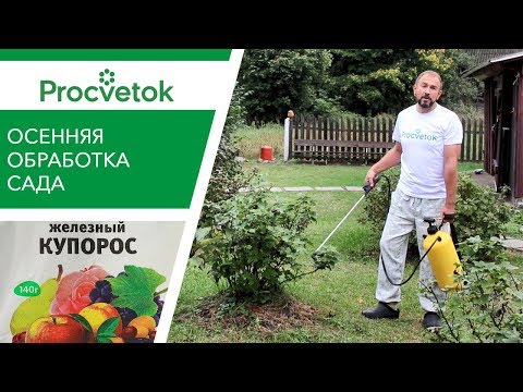 Видео: СРОЧНО обработайте сад от болезней и вредителей! Искореняющая обработка сада осенью