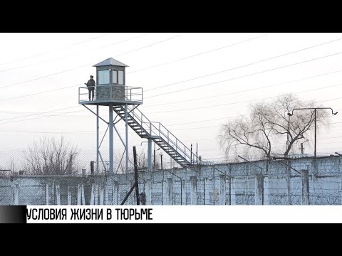 Видео: Как живут в тюрьме