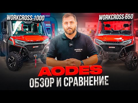 Видео: ОБЗОР И СРАВНЕНИЕ БАГГИ AODES: WORKCROSS 1000 и WORKCROSS 650
