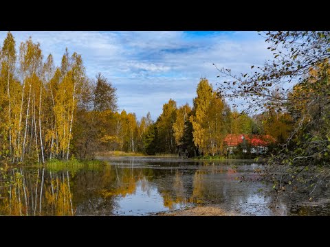 Видео: Очаровательная осень. Заволжье, р. Уржумка, д. Уржумка. 10 октября 2025