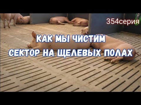 Видео: откачка щелевых полов в откорме