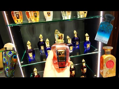 Видео: 💥ПАРФЮМЕРНЫЕ НОВИНКИ и НАХОДКИ!🦚💥💥Electimuss, Xerjoff, Anfas, The Merchant of Venice