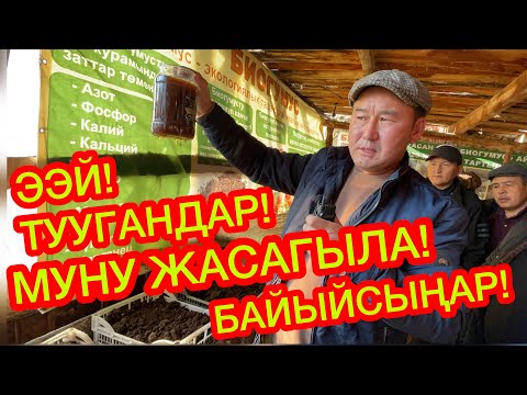 Видео: Бул БИЗНЕС сизди БАЙЫТАТ  ~  Мамазакир аганын САБАГЫНА катышып, СӨӨЛЖАН баккыла, БИОГУМУС алгыла