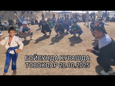 Видео: БОЙСУНДА КУРАШДА ТОВОКЛАР 20.10.2025