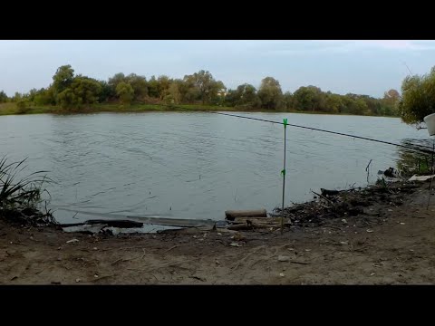 Видео: Поймал МОНСТРА на Москва Реке