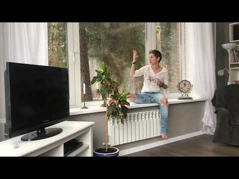 Видео: Совместимость: Лев + Рыбы