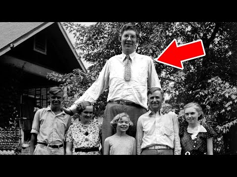 Видео: Нежный Гигант: Самый Высокий Человек в Истории