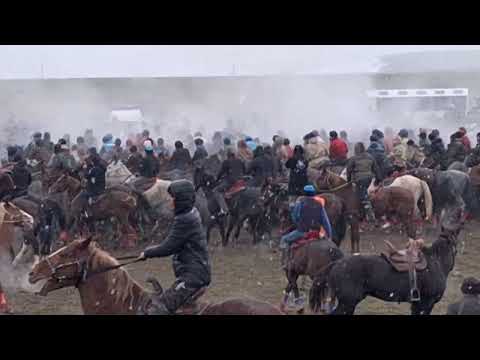 Видео: Көкпар Ордабасы 02.03.2024ж. Соңғы салымдар!